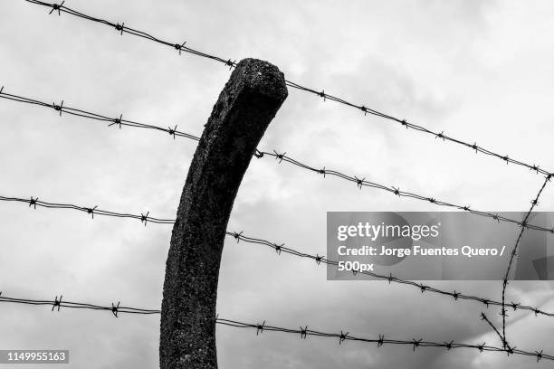 mauthausen - heritage horror - world war ii germany stock pictures, royalty-free photos & images