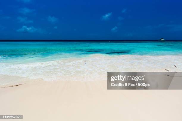 small curadise - curacao stock pictures, royalty-free photos & images