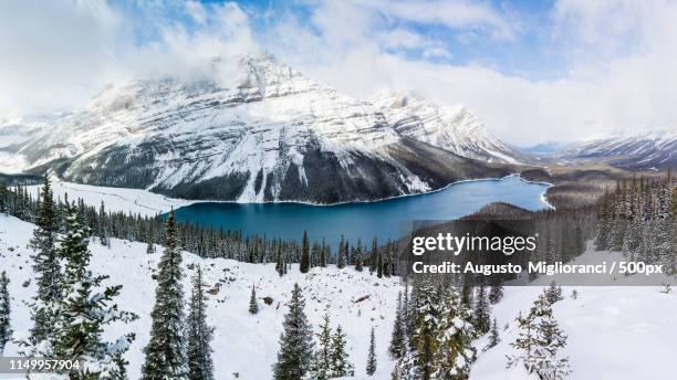 panoramic view of peyto lake - peytomeer stockfoto's en -beelden