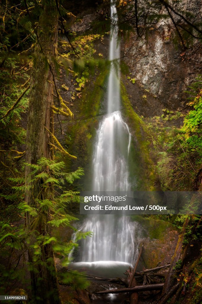 Marymere Falls, Lake Crescent, Washington
