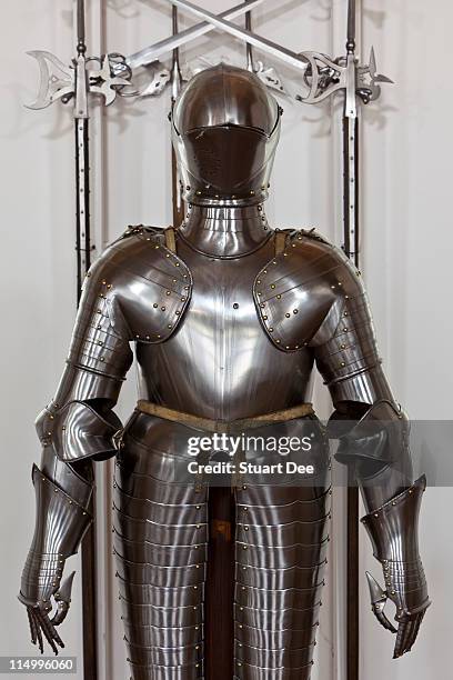Stuning Armor 1,505 Shining Armor Stock Photos, High-Res Pictures, and Images - Getty ...