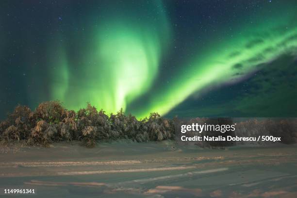 northern lights magic - natalia star stock pictures, royalty-free photos & images