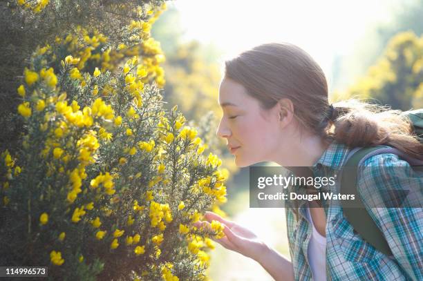 woman smelling flowers in countryside. - flower profile stock pictures, royalty-free photos & images