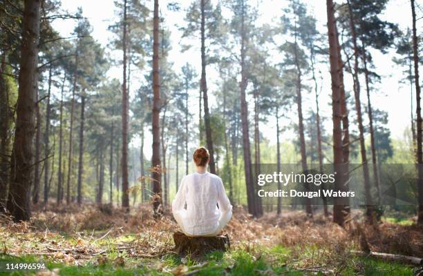 woman meditating in woodland setting. - clearing in woods stock-fotos und bilder