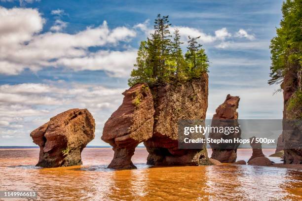 travel image - bay of fundy stockfoto's en -beelden