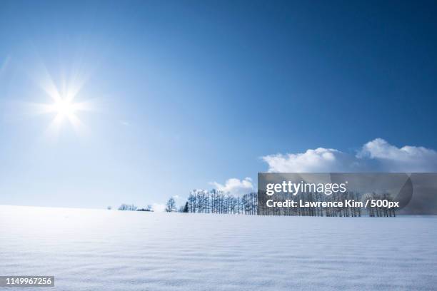 white field - asahikawa stock-fotos und bilder