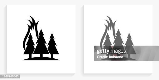 forest fire black and white square icon - forest fire stock illustrations