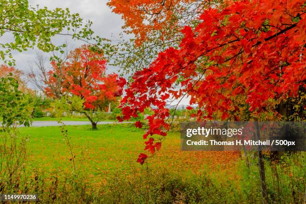 canada-quebec-eastern townships-frelighsburg-winery - eastern townships - fotografias e filmes do acervo