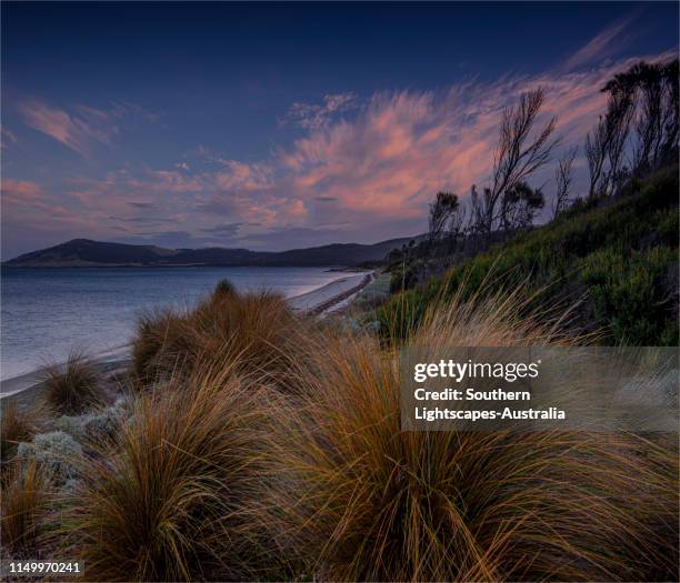 Blue Rocks Flinders Flinders Island Photos and Premium High Res Pictures - Getty Images