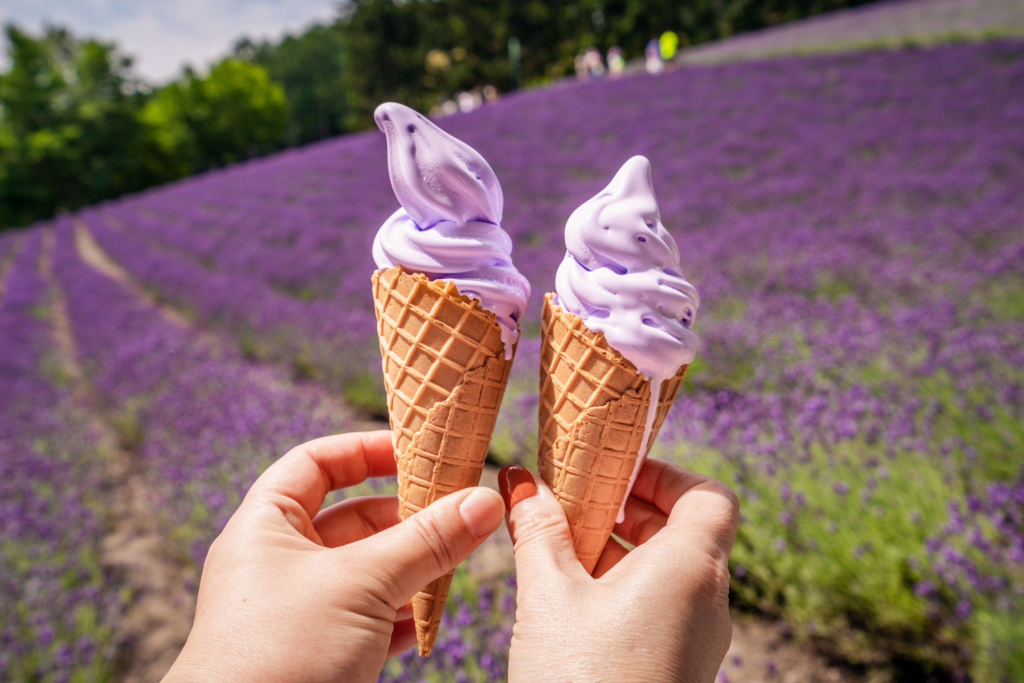hokkaido ice cream