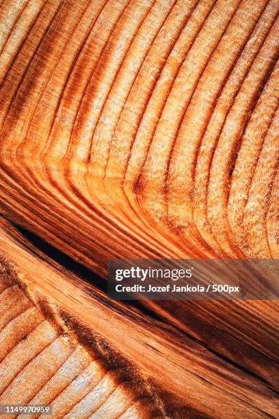 Wood Ridges Texture Timber Ridge Photos and Premium High Res Pictures - Getty Images