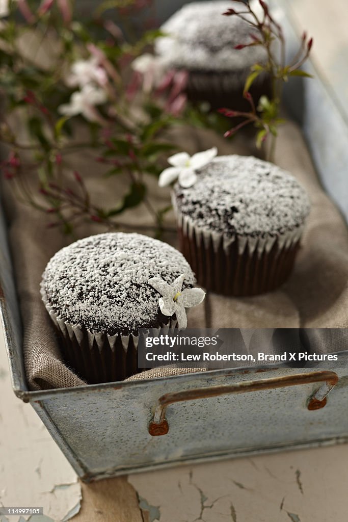 Chocolate Cupcakes with jasmine flowers