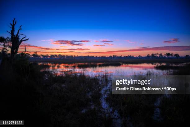 sunrise over marsh at babcock wildlife management area near punt - punta gorda florida stock pictures, royalty-free photos & images