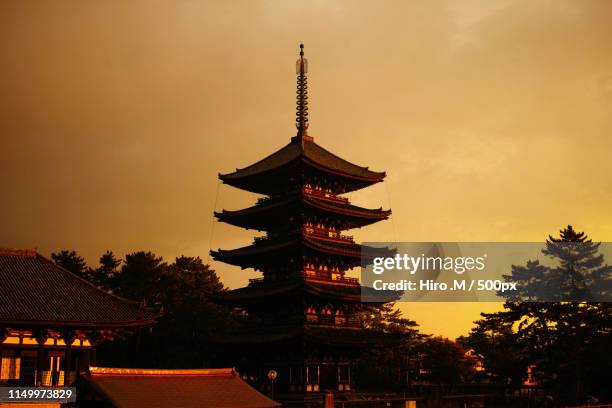 the pagoda - pagoda templo fotografías e imágenes de stock