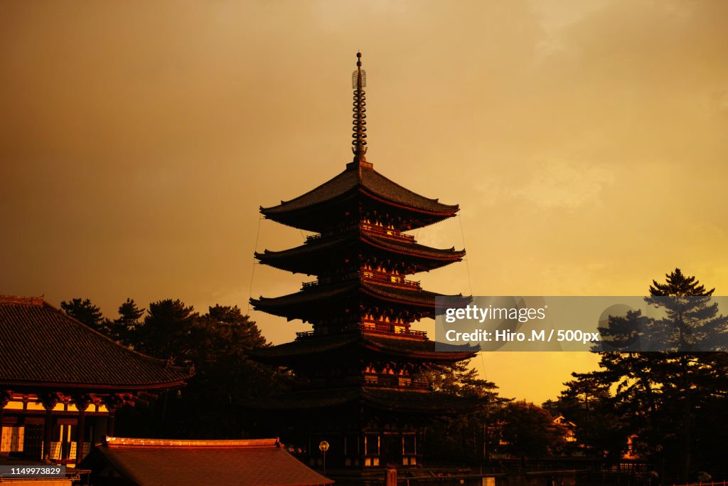 The Pagoda