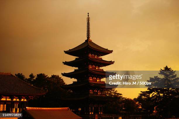 the pagoda - japanese pagoda stock pictures, royalty-free photos & images