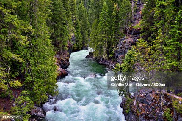 rapids of the stehekin river rushing by - nördliches kaskadengebirge stock-fotos und bilder