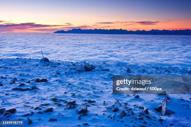 winter hill scene with fog - babia góra mountain stock pictures, royalty-free photos & images