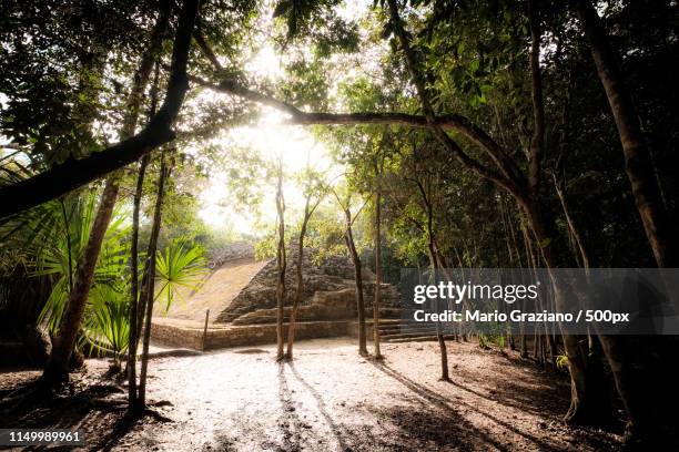 the ruins of coba - coba stock-fotos und bilder