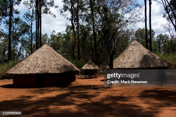 indigenous thatched huts - indigenous culture stock-fotos und bilder