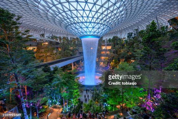 a cachoeira do vortex da chuva situada dentro do aeroporto de changi da jóia em singapore - changi airport - fotografias e filmes do acervo