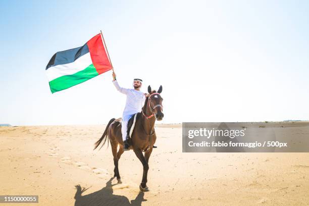 arabian man with horse in the desert - arabic horse stock-fotos und bilder