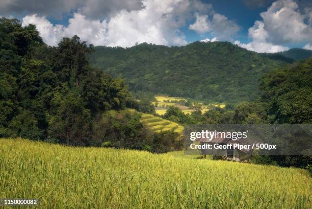 Geoff Rice 105 Geoff Rice Stock Photos, High-Res Pictures, and Images - Getty Images