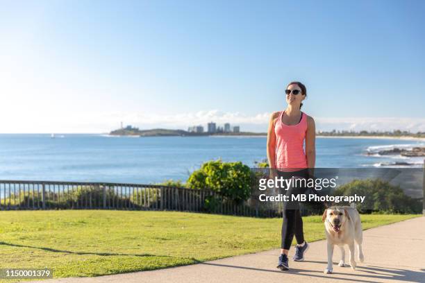 woman walking labrador - sunshine coast australia stock pictures, royalty-free photos & images
