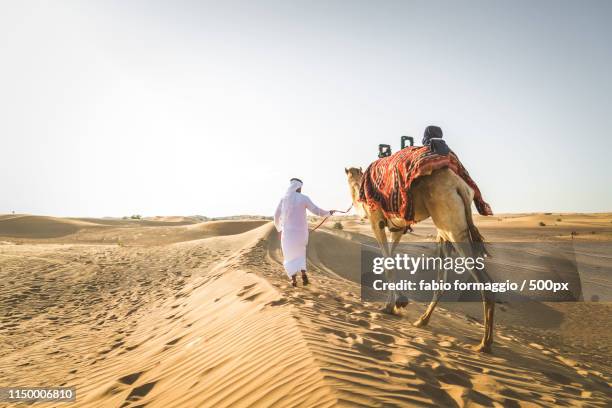 arabian man with camel in the desert - tour of qatar fotografías e imágenes de stock