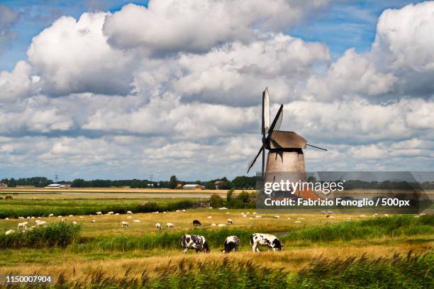 netherlands - windmill - zaanse schans stockfoto's en -beelden