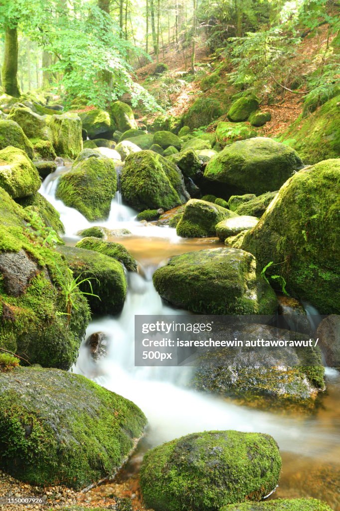 Waterfall At Green Black Forest