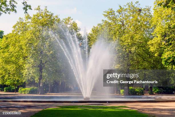 fountain in a park - fontein stockfoto's en -beelden