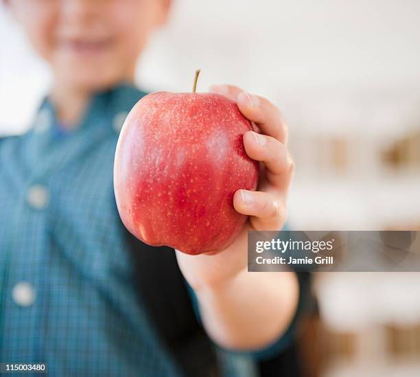 young boy holding apple, close-up - child holding apples stock-fotos und bilder