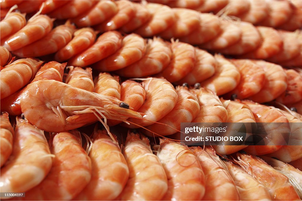 Shrimp set close-up