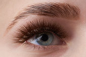 Beautiful macro photography of a woman's eye with extreme make-u