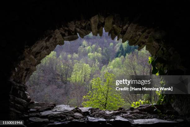 view at trees through rock wall - henning baum stock-fotos und bilder