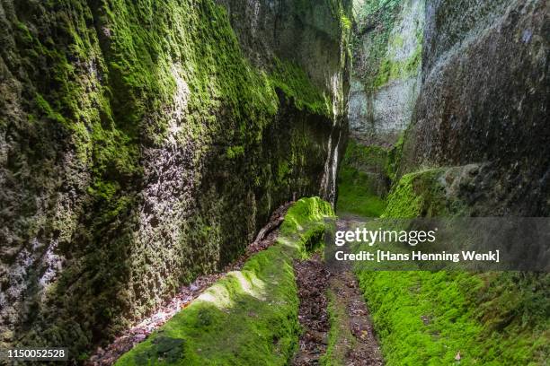 etruscan path (via cava) in pitigliano, tuscany - aushöhlung stock-fotos und bilder