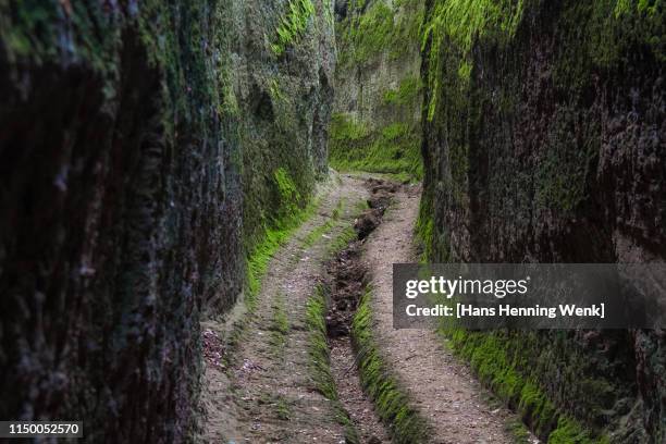 etruscan path (via cava) in pitigliano, tuscany - tufsteenrots stockfoto's en -beelden