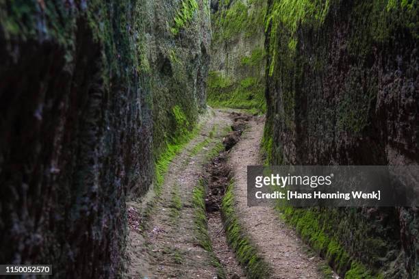 etruscan path (via cava) in pitigliano, tuscany - hollow stock pictures, royalty-free photos & images