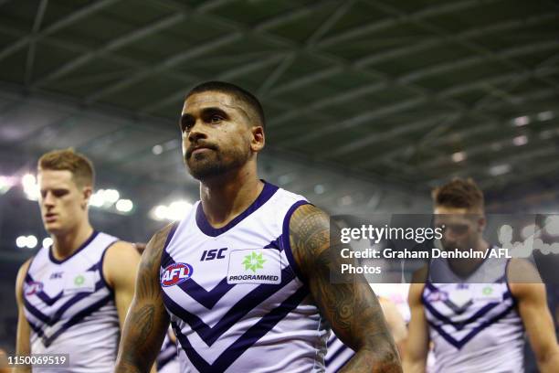 Bradley Hill of the Dockers looks dejected following the round nine AFL match between the Essendon Bombers and the Fremantle Dockers at Marvel...