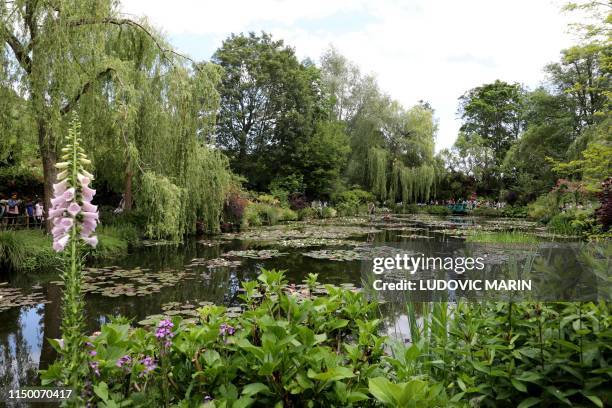 People visit the nympheas' pond at the gardens of Claude Monet house and foundation, on june 14 in Giverny.
