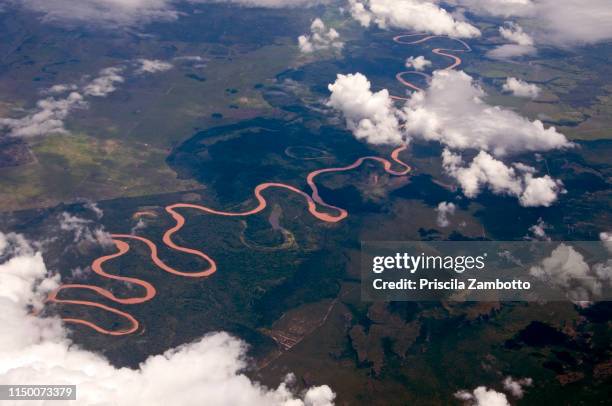 amazon river, brazil - amazone stockfoto's en -beelden