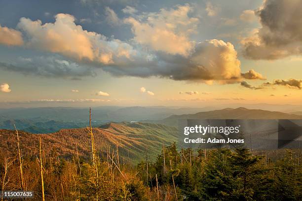 sunset from clingman's dome - clingman's dome - fotografias e filmes do acervo