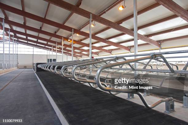 row of cattle cubicles - cowshed stock pictures, royalty-free photos & images