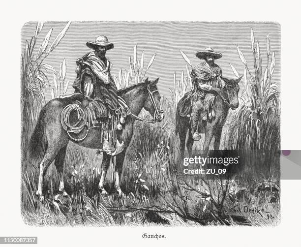 gauchos - south american cowboys, wood engraving, published in 1897 - pampas grass drawing stock illustrations