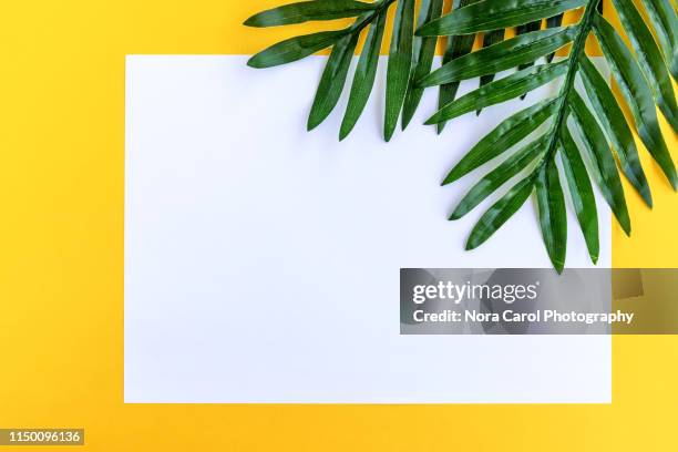 white paper and palm leaves on yellow background summer concept - tropical pattern stock-fotos und bilder