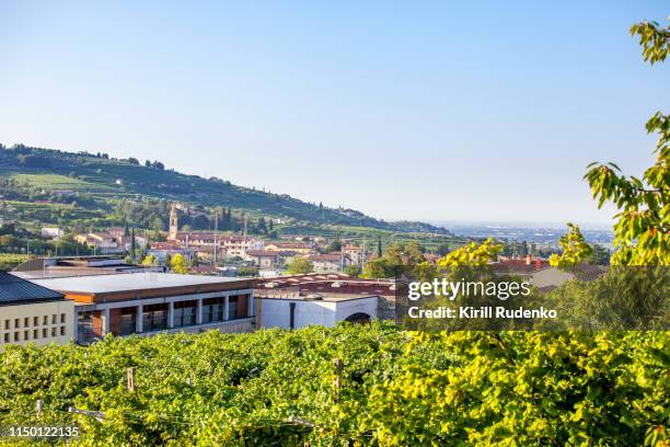 Sant Ambrogio Di Valpolicella Photos and Premium High Res Pictures