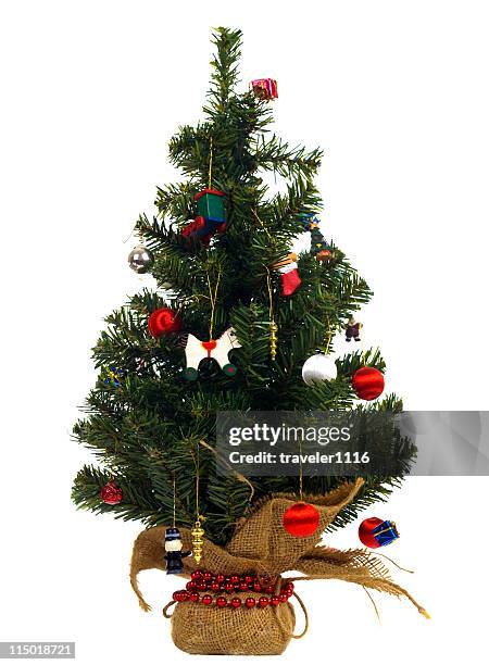 small christmas tree - miniture tree stock pictures, royalty-free photos & images