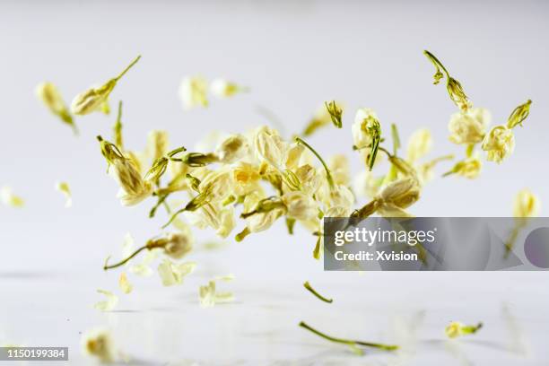 the jasmine flower dancing in slow motion with white background"n - herbs stock-fotos und bilder