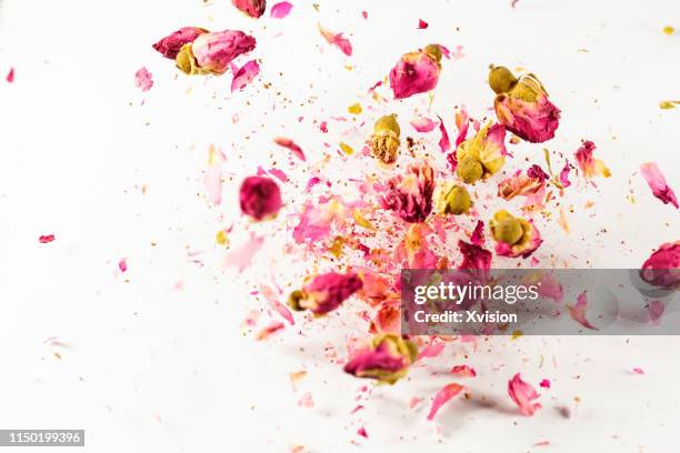 the roses flower dancing in slow motion with white background"n - dry leaf stock pictures, royalty-free photos & images